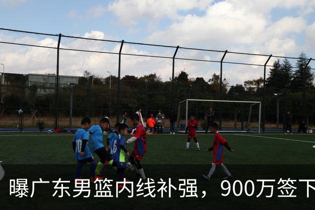 曝广东男篮内线补强，900万签下季后赛场均6.5分悍将，朱芳雨又现神操作